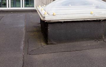 disadvantages of Eland Green flat roofs