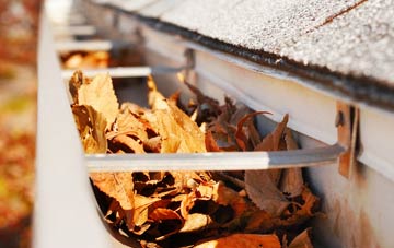 Eland Green gutter cleaning companies